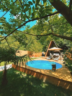 ARP SAPANCA