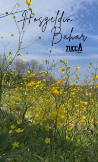 ZUCCA SAPANCA